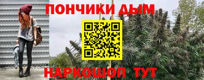 гидра Краснознаменск