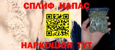 гидра Краснознаменск