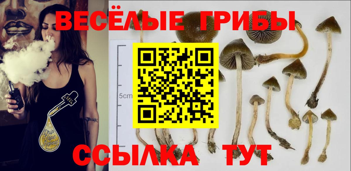 Псилоцибиновые грибы мицелий  закладки  Псилоцибиновые грибы MAGIC MUSHROOMS  Унеча  Вход с VPN 